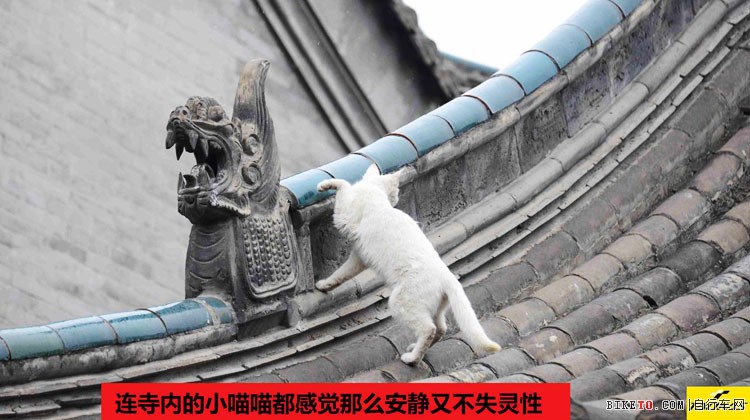 6��29�������ɹź��ͺ��ص���˹�콢����ʽ��ҵ