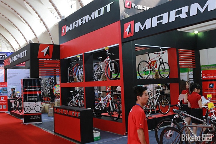 MARMOT4.jpg MARMOT4.jpg