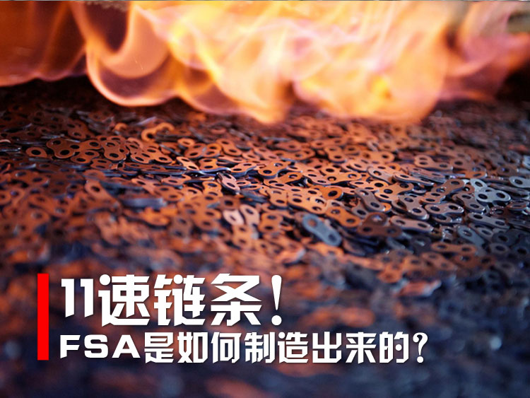 FSA11������