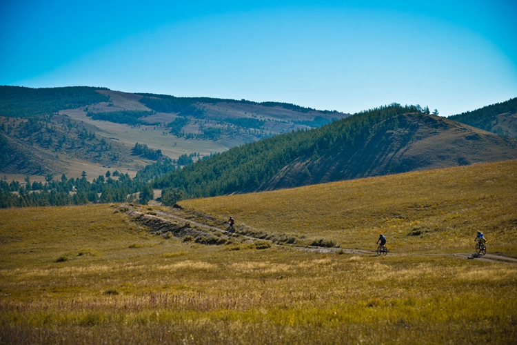 �Ȱ�����ȥ����