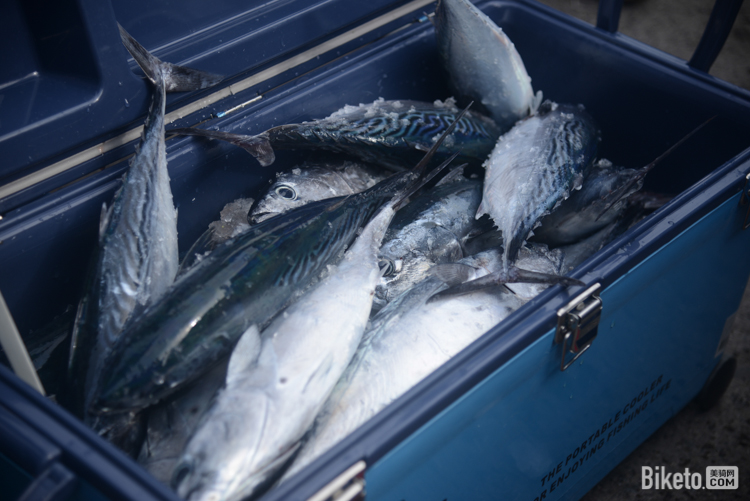 别样的业界交流会:海王子钓鱼行动 别样的业界交流会:海王子钓鱼行动