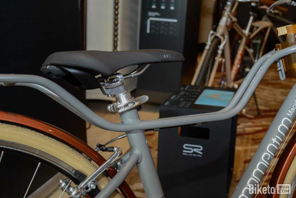 SR坐垫与莫曼顿整车 SR坐垫与莫曼顿整车