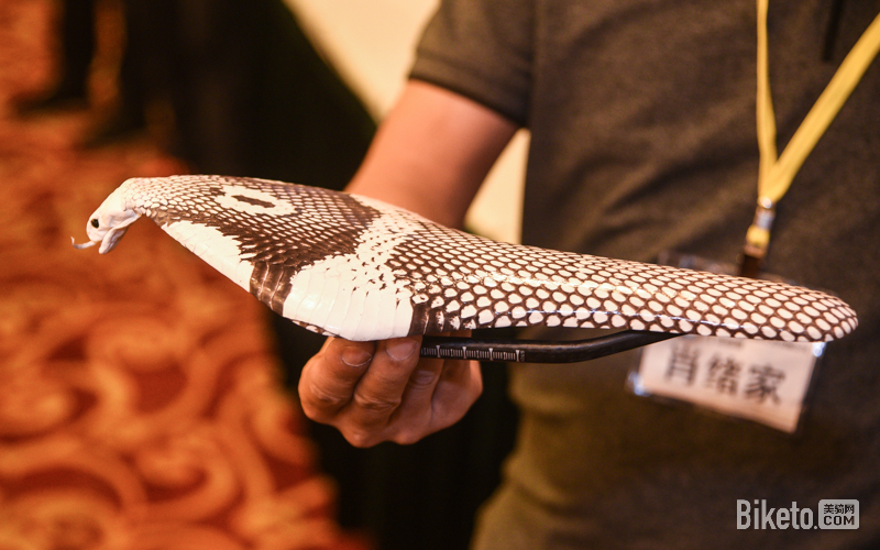 白鸽行动太仓站 白鸽行动太仓站