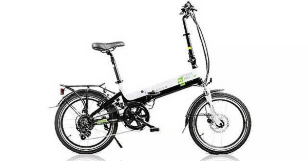 FUERDI  �綯�۵�������