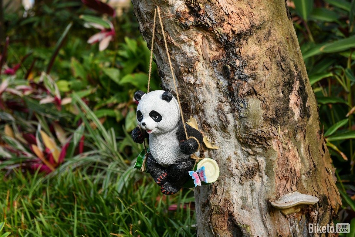 MCM_1294.jpg MCM_1294.jpg