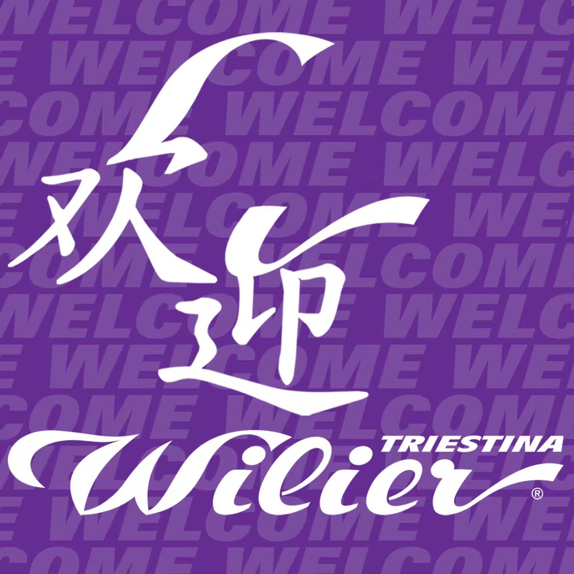 华球自行车 × Wilier Triestina 华球自行车 × Wilier Triestina