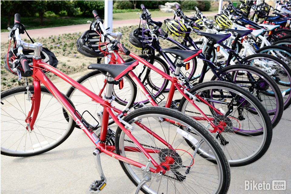 绿道体验日 绿道体验日