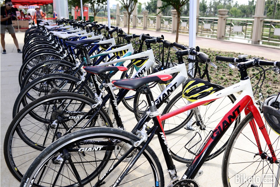 绿道体验日 绿道体验日