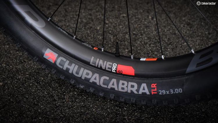 ��̡��-Bontrager����