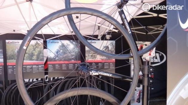 sea otter���-Vittoria����