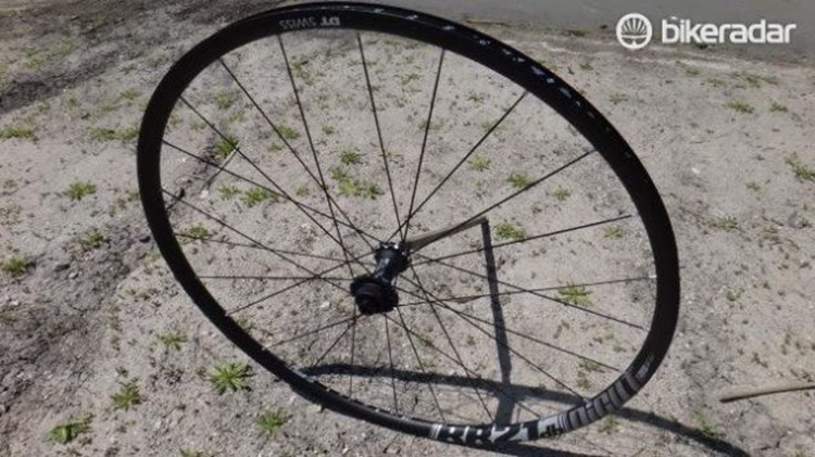 sea otter��̡�������DT��ɲ����