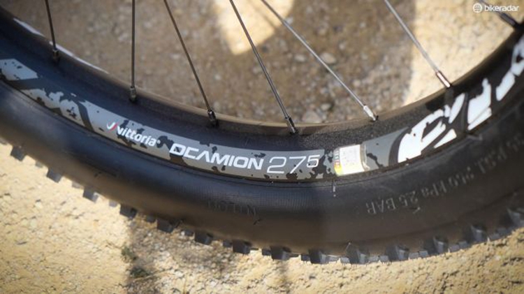 ��̡����Vittoria����