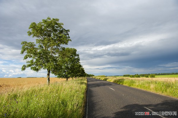 8在这样的公路上骑行,绝对算是上乘的享受。可以独自思考,也可以欣赏沿途的风光。.jpg