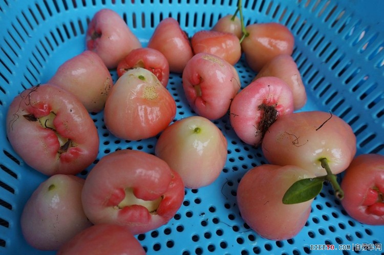 2014����ʡ�Ĳ��ڶ��쵥��������