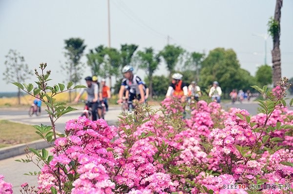 花丛骑行2.jpg 花丛骑行2.jpg