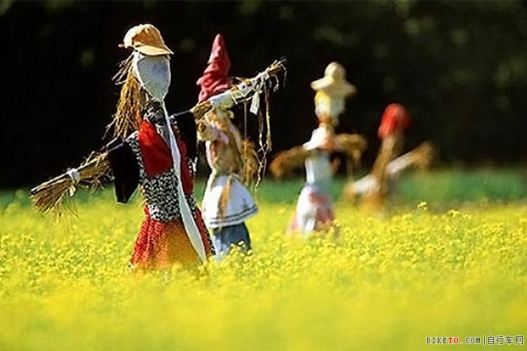 һ������������ƽԭ�������У���һ������������������ �C.jpg