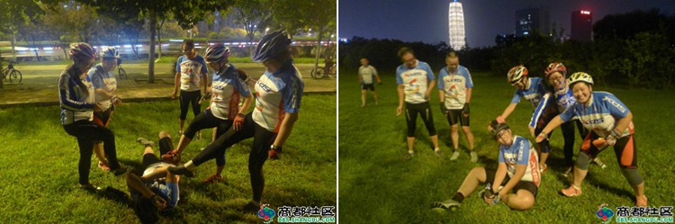 草地上玩耍 草地上玩耍