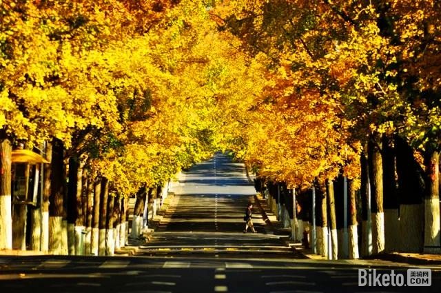 自行车绿道 自行车绿道