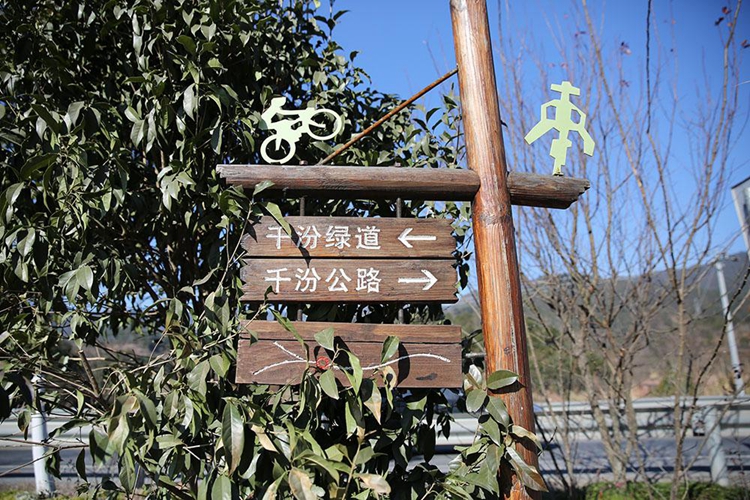 环千岛湖骑行 环千岛湖骑行