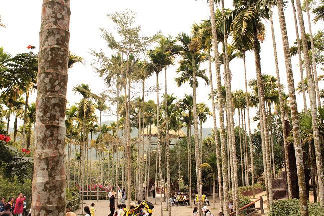 海南青少年自行车环岛科学考察活动 海南青少年自行车环岛科学考察活动