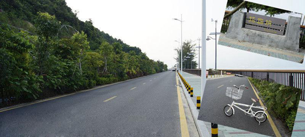 �����ų�