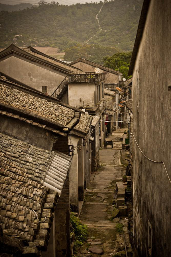 �����ų�