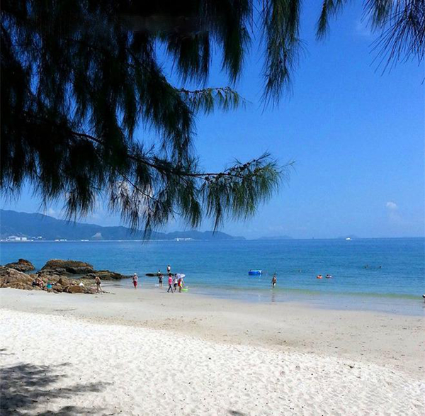 �����ų�