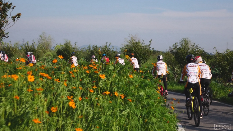 ����·��