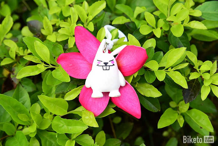 安信&美骑东莞骑游 安信&美骑东莞骑游