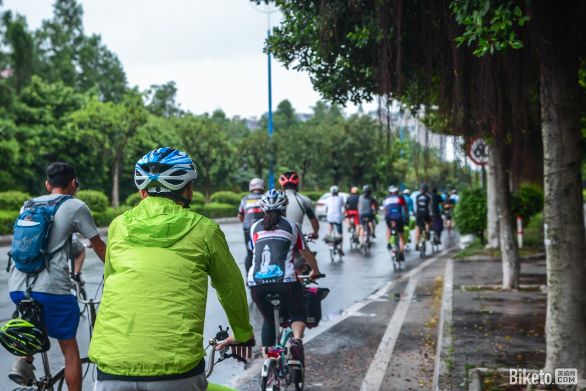 �۵���ʢ�� ����Brompton������۹���