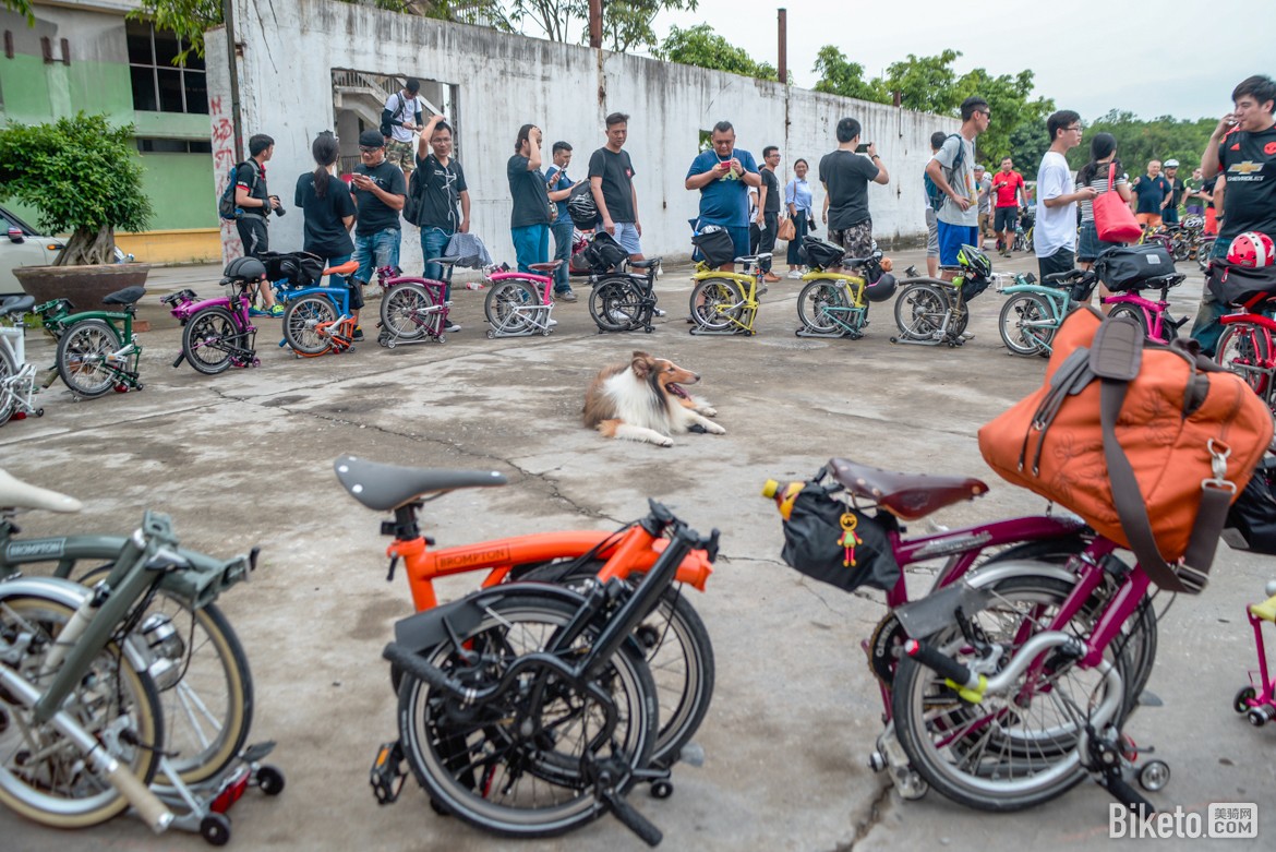 �۵���ʢ�� ����Brompton������۹���