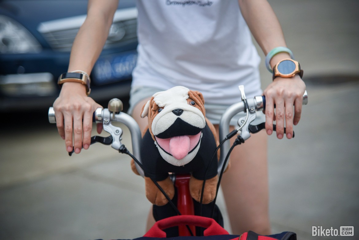 �۵���ʢ�� ����Brompton������۹���