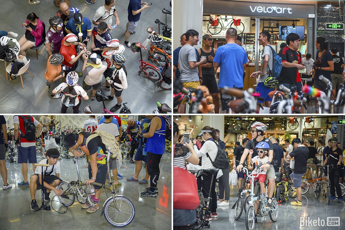 �۵���ʢ�� ����Brompton������۹���