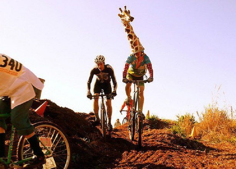 ��ʥ��,���г�,��װ