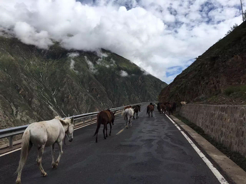 ����Э����ʷ