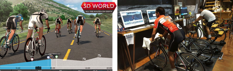 CST������̥2017��������������������