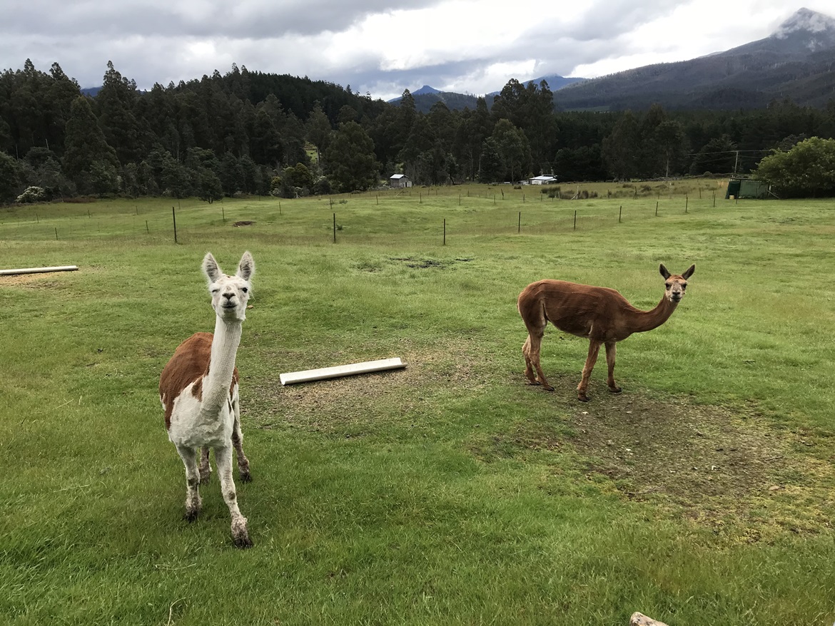 ɽ�س���԰,DH,ɽ�س�WeChat Image_20190110202712.jpg