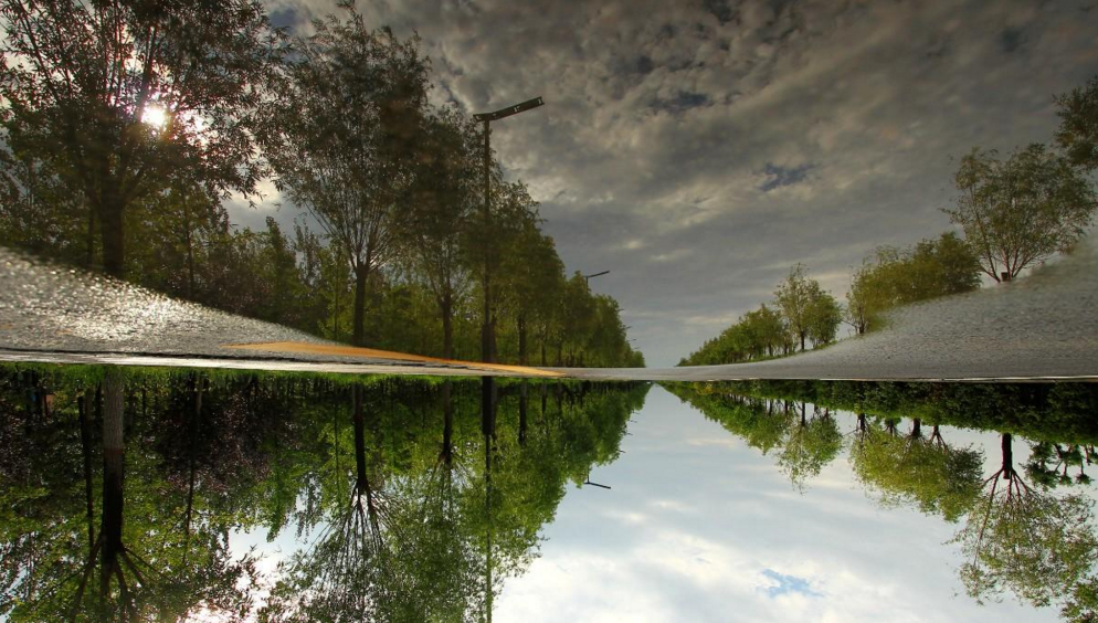 图片14.png 图片14.png