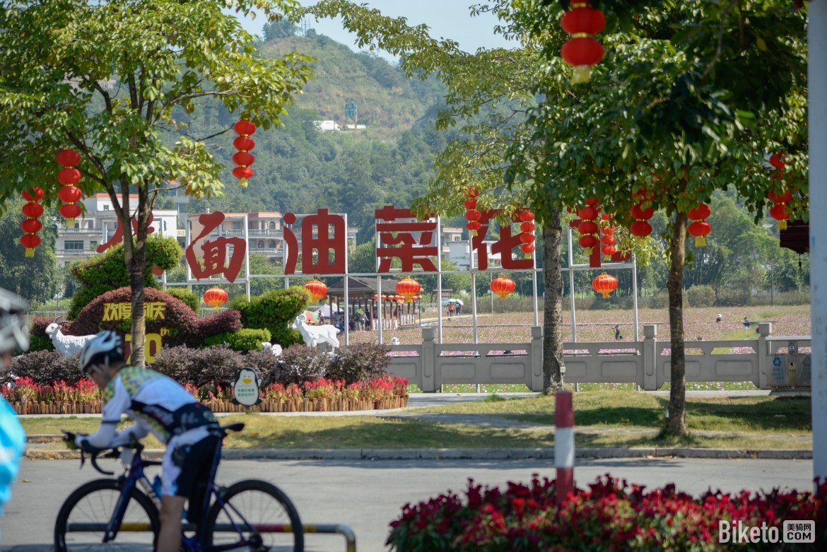 千里达,轮动全城,骑行活动