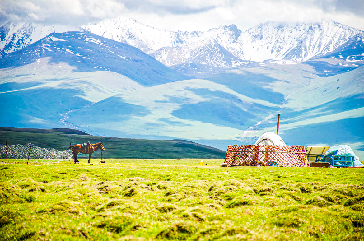 独库公库 独库公库