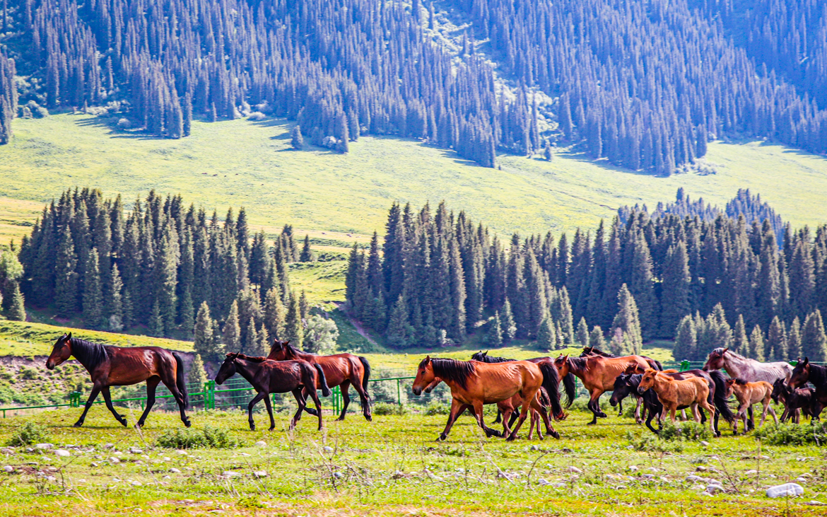 独库公路 独库公路