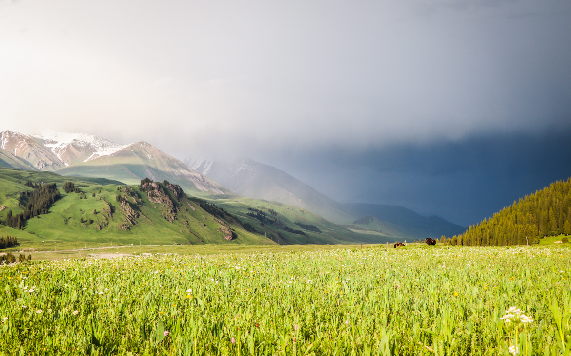 独库公库 独库公库