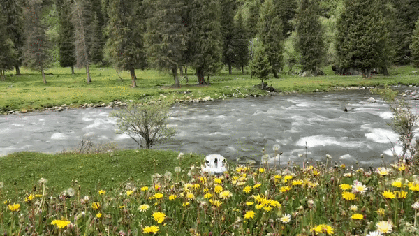 独库公路 独库公路