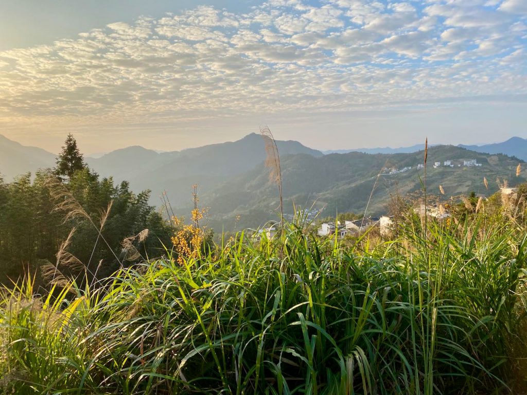 微信图片_20210312145013.jpg 微信图片_20210312145013.jpg