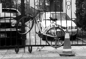 自行车骑出门有点难(组图)