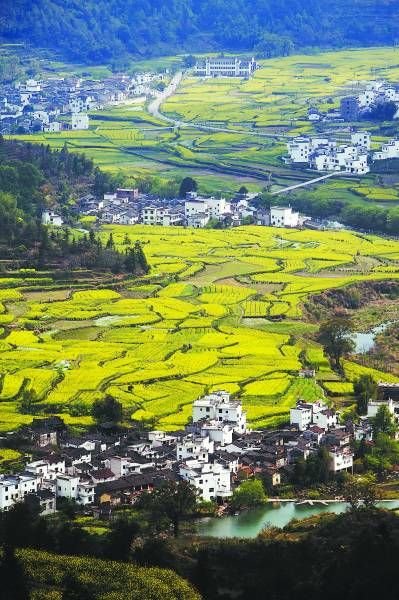 ���г����������������