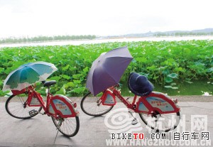 �������г���������