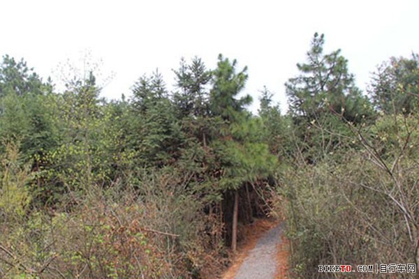 湖南省自行车主题乐园3 湖南省自行车主题乐园3