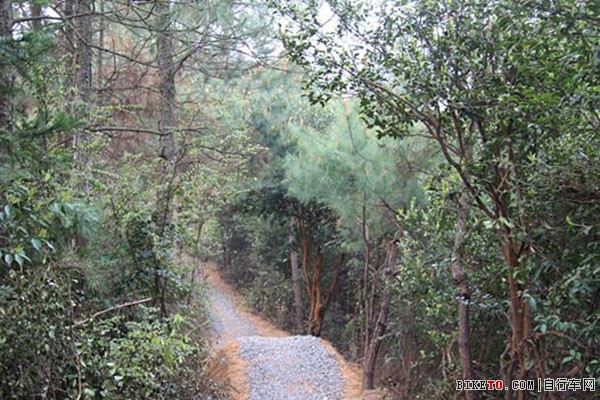 湖南自行车主题乐园 湖南自行车主题乐园