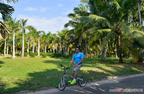 品牌商王总 品牌商王总